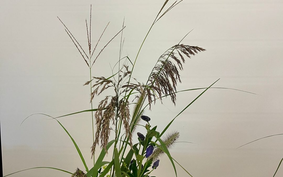 Moribana landschap