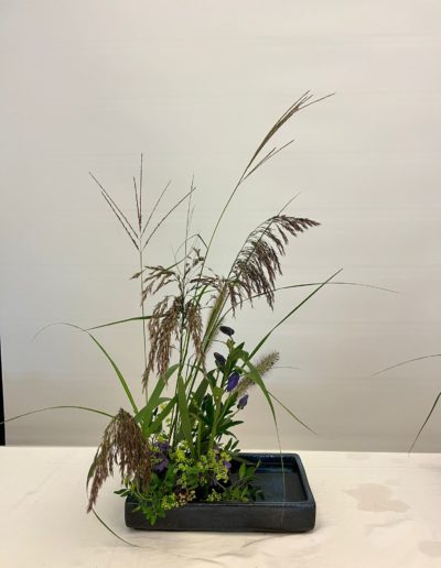 Moribana landschap