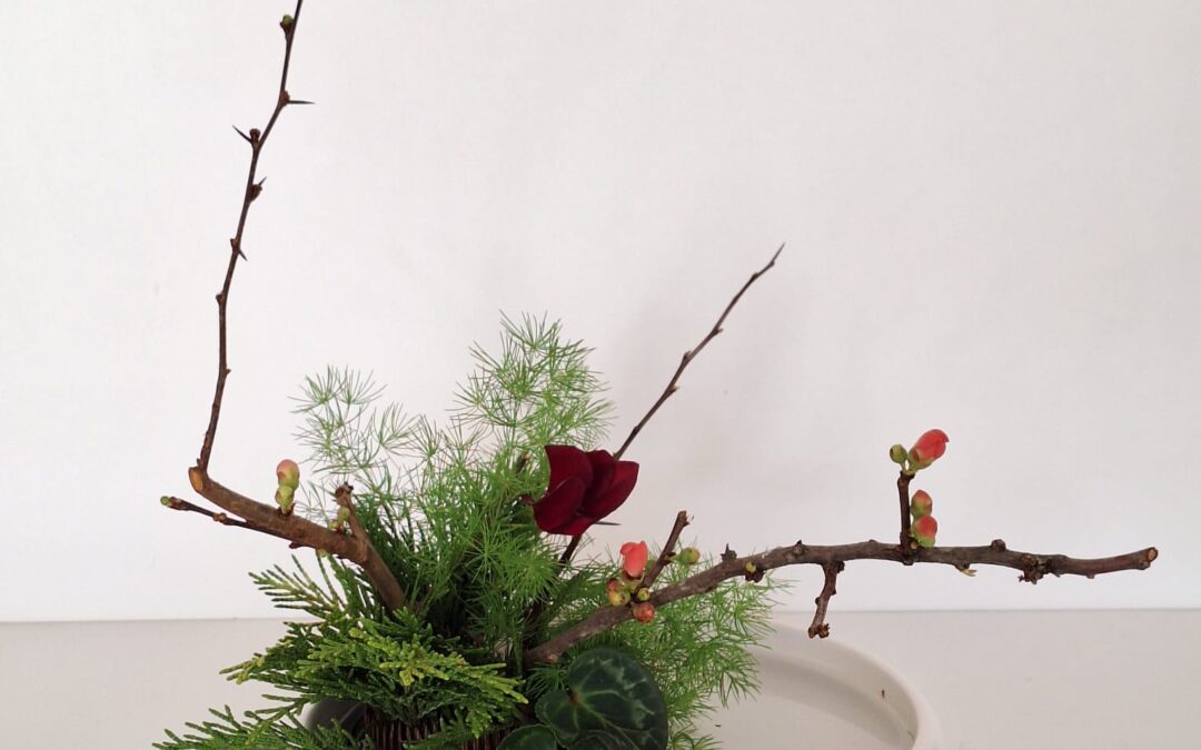 31ste Algemene Ledenvergadering – een betrokken en inspirerende middag