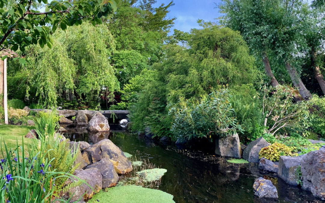 Vooruitblik: Japanse Zondag in Hortus Overzee